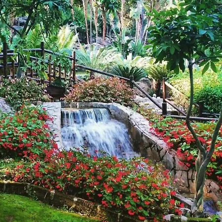 Amazing Close To Beaches *